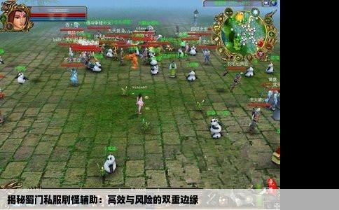 揭秘蜀门私服刷怪辅助：高效与风险的双重边缘