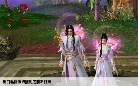 蜀门私服互通版到底能不能玩