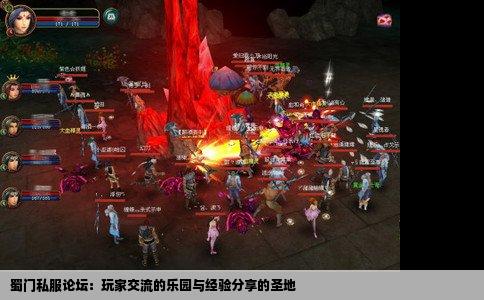 蜀门私服论坛：玩家交流的乐园与经验分享的圣地