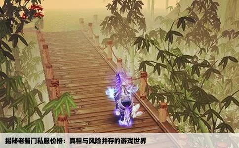 揭秘老蜀门私服价格：真相与风险并存的游戏世界