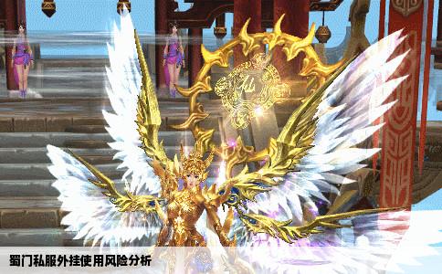 蜀门私服外挂使用风险分析